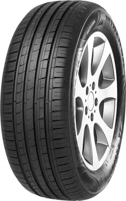 Image de Minerva 209 ( 185/65 R15 92T XL )