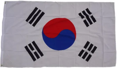 Immagine prodotto di Bandiera Bandiera Corea del Sud 250 x 150 cm con 3 occhielli 100g/m² peso del tessuto issare bandiera issare bandiera