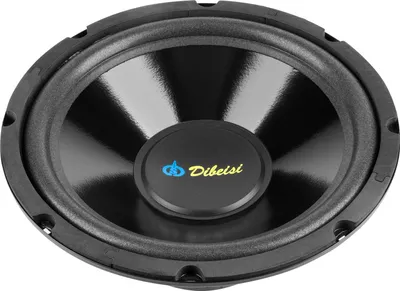 Image de Haut-parleur 10 pouces 8 ohms dibeisi