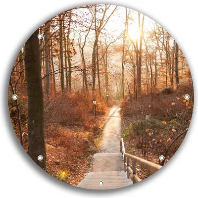 Produktbild von Wallario rundes Outdoor-Poster für Garten oder Balkon, Motiv Weg in den Sonnenuntergang, 30 cm Durchmesser