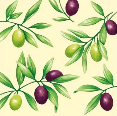 Produktbild von 20 Servietten Olives - Gemalte Olivenzweige 33x33cm
