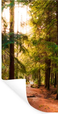 Produktbild von MuchoWow® Wandtattoo Wandsticker Wandaufkleber Wald - Weg - Bäume - Grün - Sonne - Natur 40x80 cm Selbstklebend und Repositionierbar - Repositionierbar - Wasser abweisend