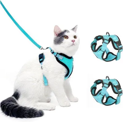 Image de Kit de sécurité pour chat comprenant 2 colliers et une laisse – Collier souple et réglable avec boucle simple, bandes réfléchissantes et maille respirante – Collier de voyage pour chats et chatons