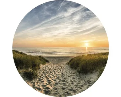 Produktbild von Glasbild Weg Zum Strand I Ø 20 cm
