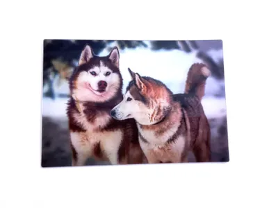 Produktbild von 3 D Ansichtskarte Schlittenhunde, Huskys Postkarte Wackelkarte Hologrammkarte Tiere Hunde