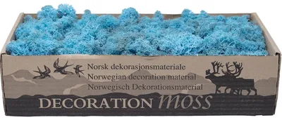 Produktbild von Deko-Moos Hellblau Aquamarin Islandmoos Rentiermoos Finnlandmoos Bastelmoos 400g