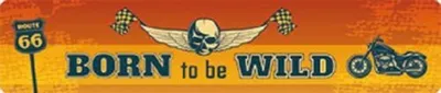 Produktbild von BORN to be WILD, Blechschild, Straßenschild 46x10 cm, STR 65