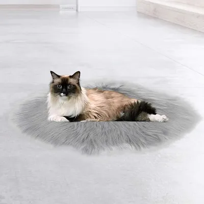 USB-Heizmatte für Katzen, Plüsch, 44x4 cm, Wärmekissen