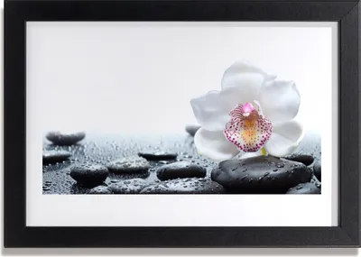 Produktbild von Bild 30x20 MDF-Rahmen Wandkunst Orchideen-Blumen-Kunst