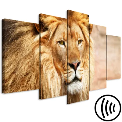 Image de Tableau acoustique Lion 200 x 100 cm Tableaux Mousse acoustique Absorbeur acoustique haute performance Isolation acoustique Toile 5 pièces Tableau mural Acoustique intérieure Isolation acoustique Coloré Animaux g-B-0075-b-n