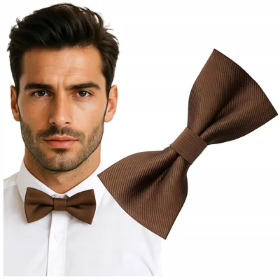 Produktbild von Luvu Herren Fliege gestreift elegant verstellbar braun