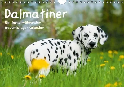 Produktbild von Calvendo Verschiedene Motive von Dalmatiner-Hunden (Monatskalender, 14 Seiten) 978-3-660-50581-8