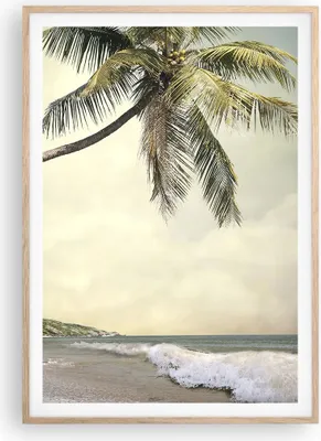 Produktbild von Gerahmtes Poster - Rahmen in heller Eiche - Palme Strand Insel - 70x100 cm - Wand Bild - Wanddeko - Wandbilder - Wandposter - Bilderrahmen - Bilder - Kunstdruck - Wandbild - P2NPA70x100-4154