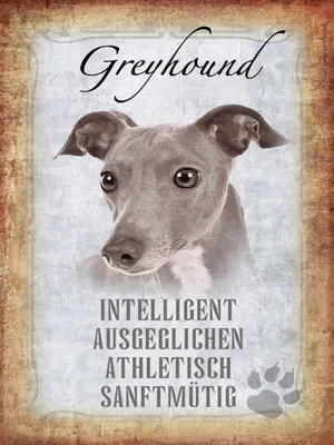 Produktbild von vianmo Holzschild 40x30 cm Greyhound Hund