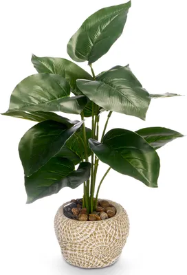 Produktbild von Künstliche Pflanze PHILODENDRON, 40 cm