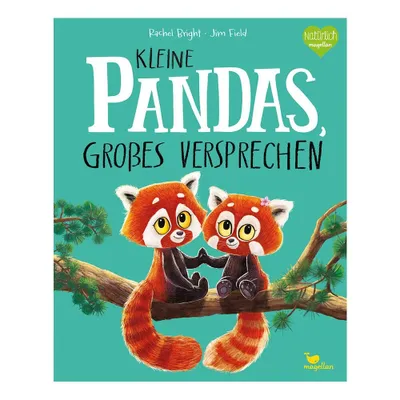 Obrázek produktu pro Kniha: Malé pandy, velký příslib