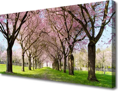 Produktbild von Tulup Leinwand-Bilder 100x50 Wandbild Canvas Kunstdruck Fußpfad Bäume Natur