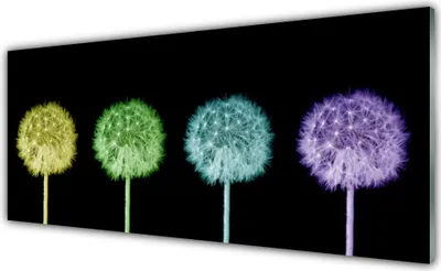 Produktbild von Glasbilder 125x50 Wandbild Druck auf Glas Pusteblume Pflanzen