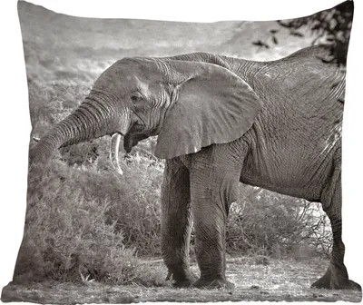 Produktbild von MuchoWow® Zierkissen Sofakissen Wohnzimmer Dekokissen 40x40 cm Elefant - Tiere - Bäume - Schwarz - Weiß - Foto Kissen - Schlafzimmer Dekoration