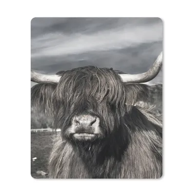 Produktbild von MuchoWow® Mauspad Mousepad Schottischer Highlander - Tiere - Hörner 30x40 cm - Mousepads - Maus Mat - Pad - Mausunterlage - Mausmatten