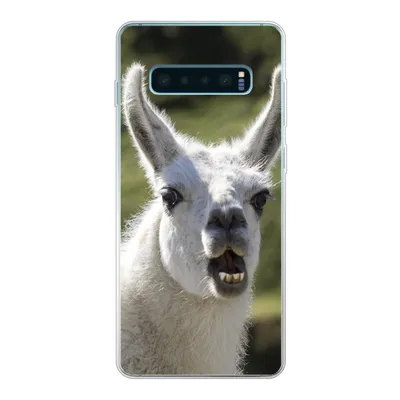 Produktbild von MuchoWow® Handyhülle Schutzhülle Hülle für Samsung Galaxy S10 Lite Lama - Lustig - Kinder - Jungen - Mädchen - Kinder Silikon Softcase Handy Hülle - Schutz