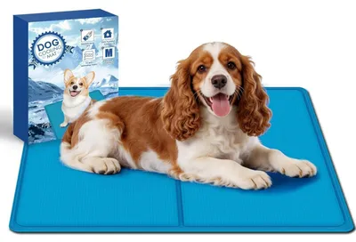 Obrázek produktu pro Chladicí podložka pro psy, 65x50 cm - Odolná proti poškrábání, netoxický gel, okamžené ochlazení pro použití v interiéru, exteriéru i v autě