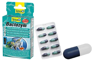 Produktbild von Filterbakterien Tetra Bactozym Schnellaktiv 10 Stück