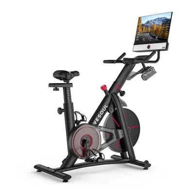 Produktbild von YESOUL G1M Plus- Leises Magnetischer Heimtrainer, 21.5Zoll FHD-Display, 0-100% Verstellbarer Widerstand, 360°Sound, Bildschirmspiegelung &App-Training