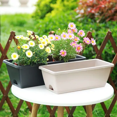 Image de Boîte à fleurs avec soucoupe en terre cuite