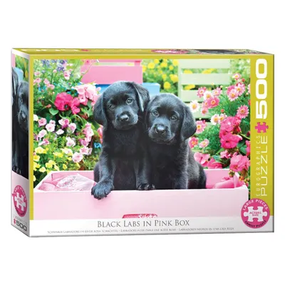 Immagine prodotto di Eurographics Puzzle Schwarze Labradore in einer rosa Schachtel, 500 Teile, 68 x 48 cm, 6500-5462