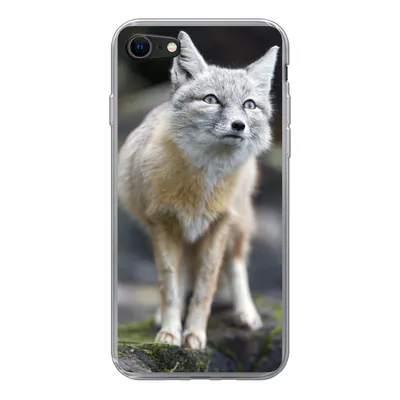 Produktbild von MuchoWow® Handyhülle Schutzhülle Hülle für iPhone 7 Fuchs - Makro - Baum Silikon Softcase Handy Hülle - Kartenhalter