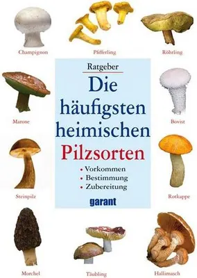 Produktbild von Die häufigsten heimischen Pilzsorten