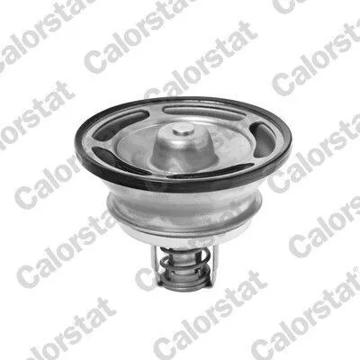 Produktbild von CALORSTAT by Vernet Thermostat Kühlmittel