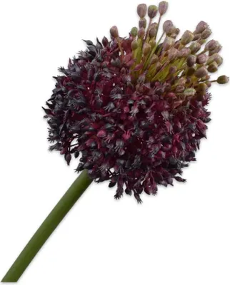 Produktbild von Kunstblume von Silk-ka – Seidenblume Distelstiel, lila-grün, 87 cm