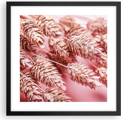 Produktbild von Gerahmtes Poster - Schwarzer Rahmen - Klinge Gras getrocknet - 40x40 cm - Wand Bild - Wanddeko - Wandbilder - Kunstposter - Wandposter - Bilderrahmen - Bilder - Kunstdruck - P2BAC40x40-5120