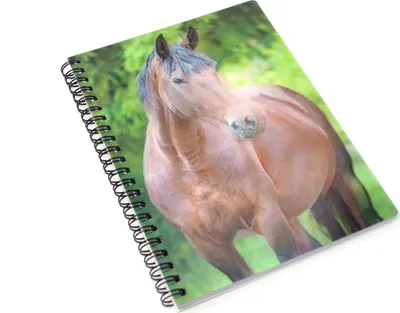Produktbild von 3D Notizbuch - Pferd - groß