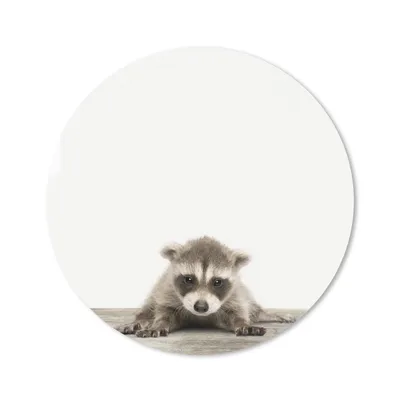 Produktbild von MuchoWow® Mauspad Mousepad Tiere - Waschbär - Baby 20x20 cm - Mousepads - Maus Mat - Pad - Mausunterlage - Schreibtischmatte