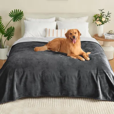 Image de Solidchoice - Couverture imperméable 203x228 cm pour animaux de compagnie