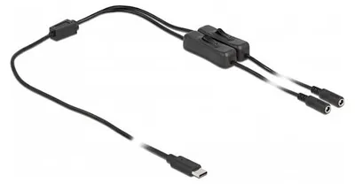 Productafbeelding van DELOCK Kabel, USB Type-C stekker naar 2 x DC 5,5 x 2,1 mm connector met schakelaar, 1 meter, USB Type-C, 2 x DC 5.5 x 2.1 mm, 1 meter, zwart