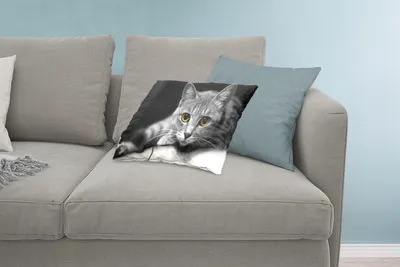 Produktbild von MuchoWow® Zierkissen Sofakissen Wohnzimmer Dekokissen 60x40 cm Katze - Tier - Makro - Kopfkissen - Polster mit Foto