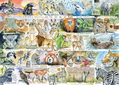 Image de GIBSONS Puzzle Ours et paresseux 1000 pièces