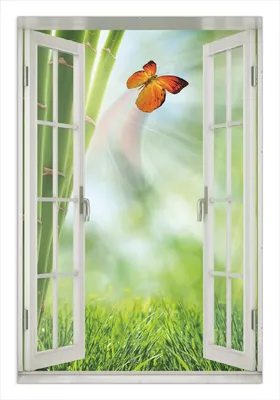 Produktbild von Wallario Wandbild mit Fenster-Illusion: Schmetterling im Grünen mit Bambus, Größe: 61 x 91,5 cm, Poster mit rahmenlosen Bildhalter