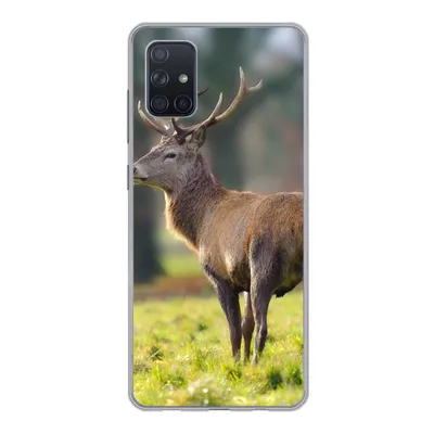 Produktbild von MuchoWow® Handyhülle Schutzhülle Hülle für Samsung Galaxy A71 Rothirsch - Wiese - Grün Silikon Softcase Handy Hülle - Kartenbesitzer