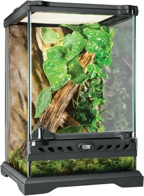 Productafbeelding van Glazen terrarium - 20 x 20 x 30 cm - frontventilatie - met slot
