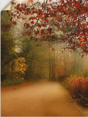 Produktbild von ARTland Wandbild, selbstklebend Herbst im Park Größe: 45x60 cm