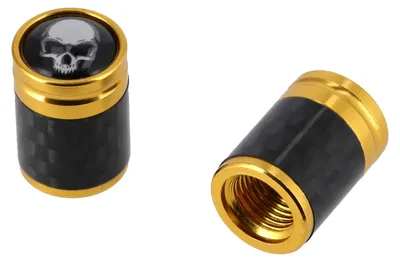Image de Ensemble : 2 capsules de valve "carbone/crâne", or