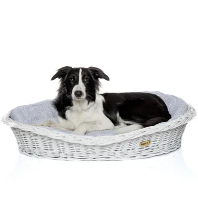Produktbild von Weiß gebleichter Weidenkorb für Hunde Wikikorb mit Baumwoll-Hundebett – Beige mit Karo – DOTTY