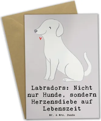 Produktbild von Mr. & Mrs. Panda Grußkarte Labrador Herzensdiebe - Grau Pastell - Geschenk, Hunderassen, Lebensfreude, Klappkarte, weihnachtskarten, energiegeladener Hund, Herzensdieb