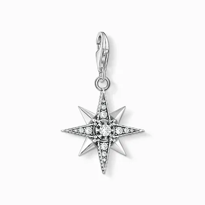Immagine prodotto di Thomas Sabo - 1756-643-14 - Charm - Donna - Argento 925 annerito - Stella reale