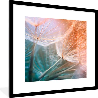 Produktbild von MuchoWow® Gerahmtes Poster Blume - Löwenzahn - Pflanze 40x40 cm - Poster mit Schwarzem Bilderrahmen Wandposter Rahmen Foto Bilder - Poster - Plakat im Rahmen